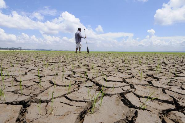 Brazilian Drought